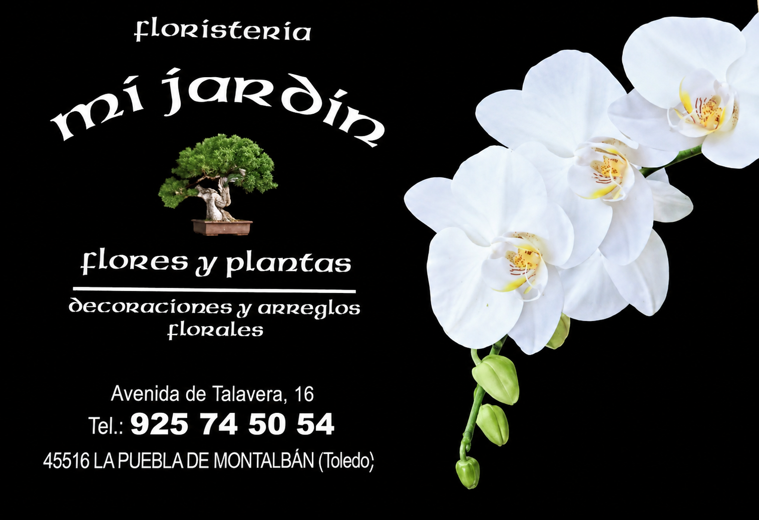 Mi jardin